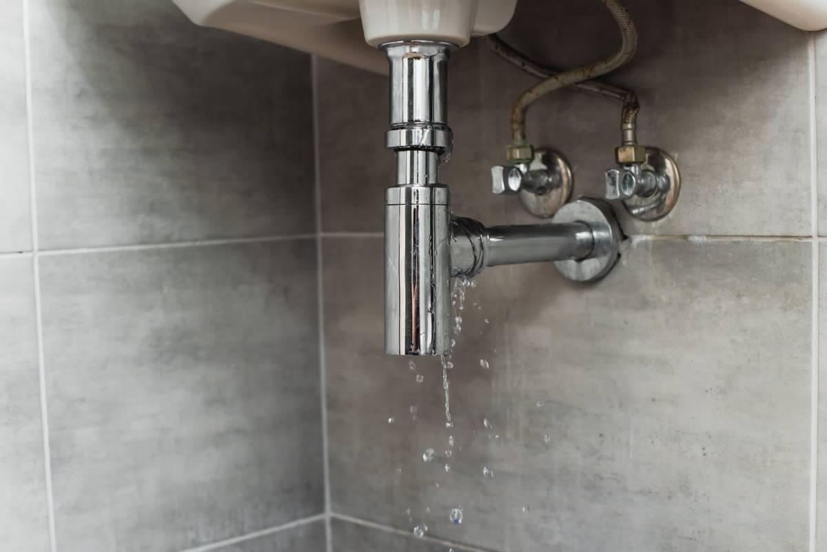 Water Leak Detection (Flo by Moen, LDS.)