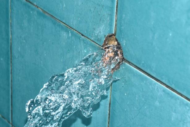 Broken water lines or burst pipes need urgent care