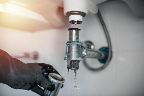 Clogged drains and toilets