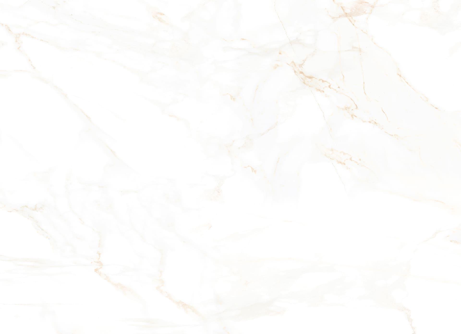 Gold Medal Plumbing Image