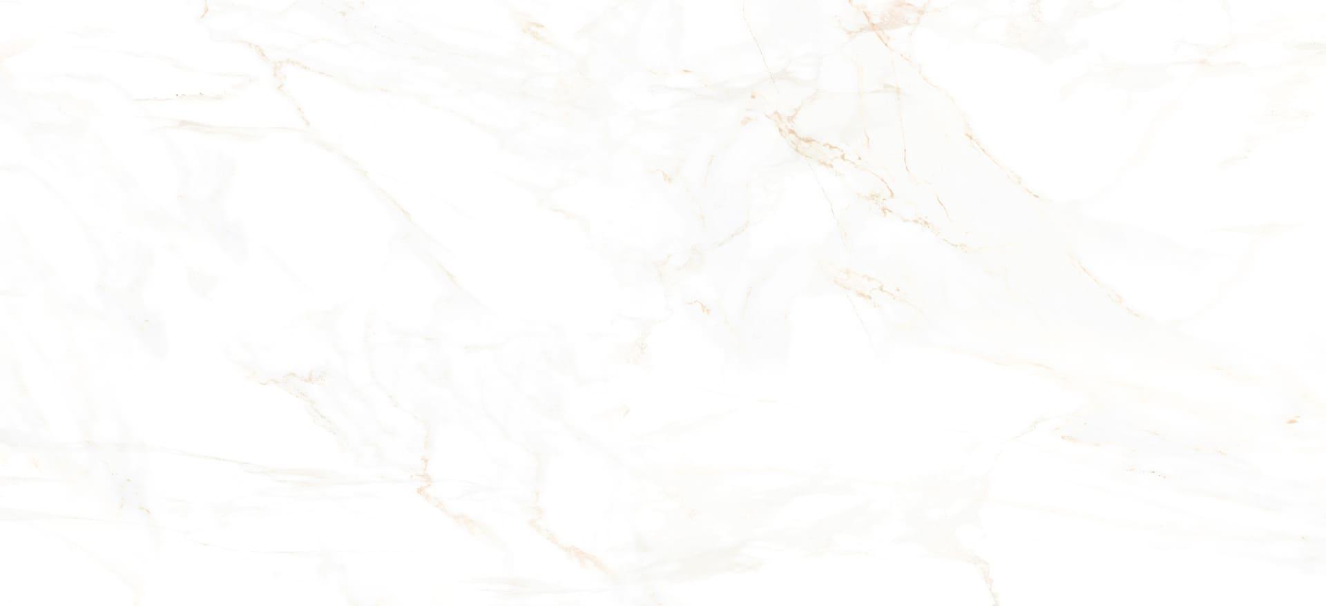 Gold Medal Plumbing Image